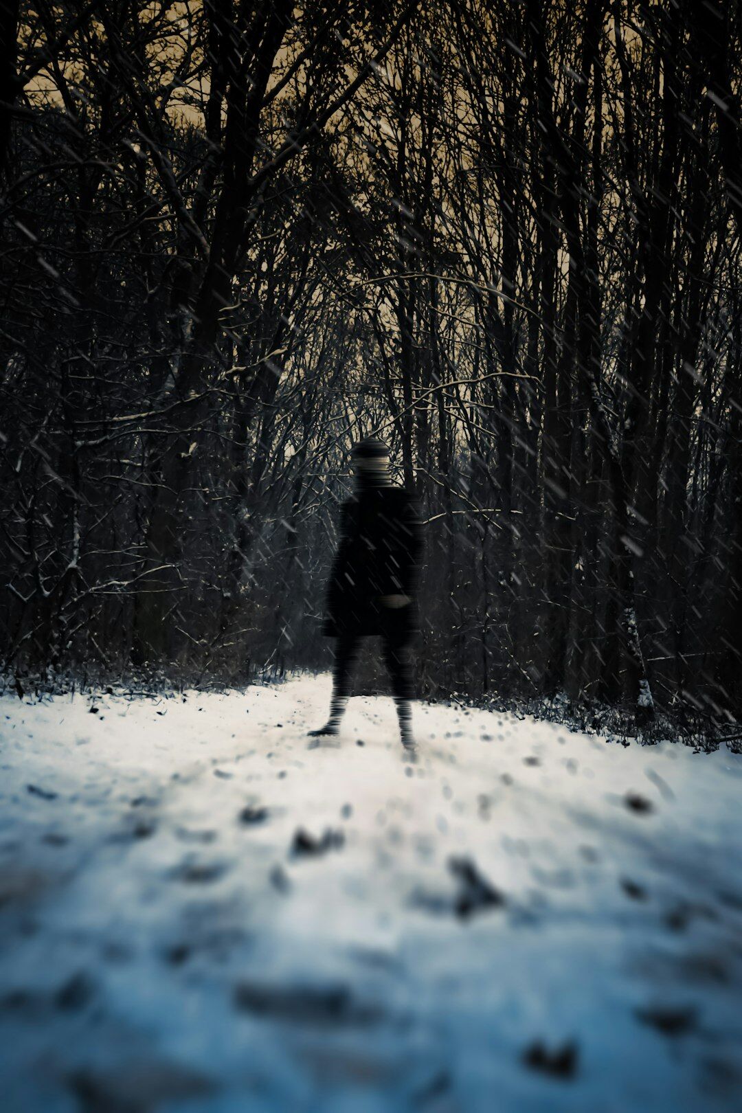 shadowy figure in forest