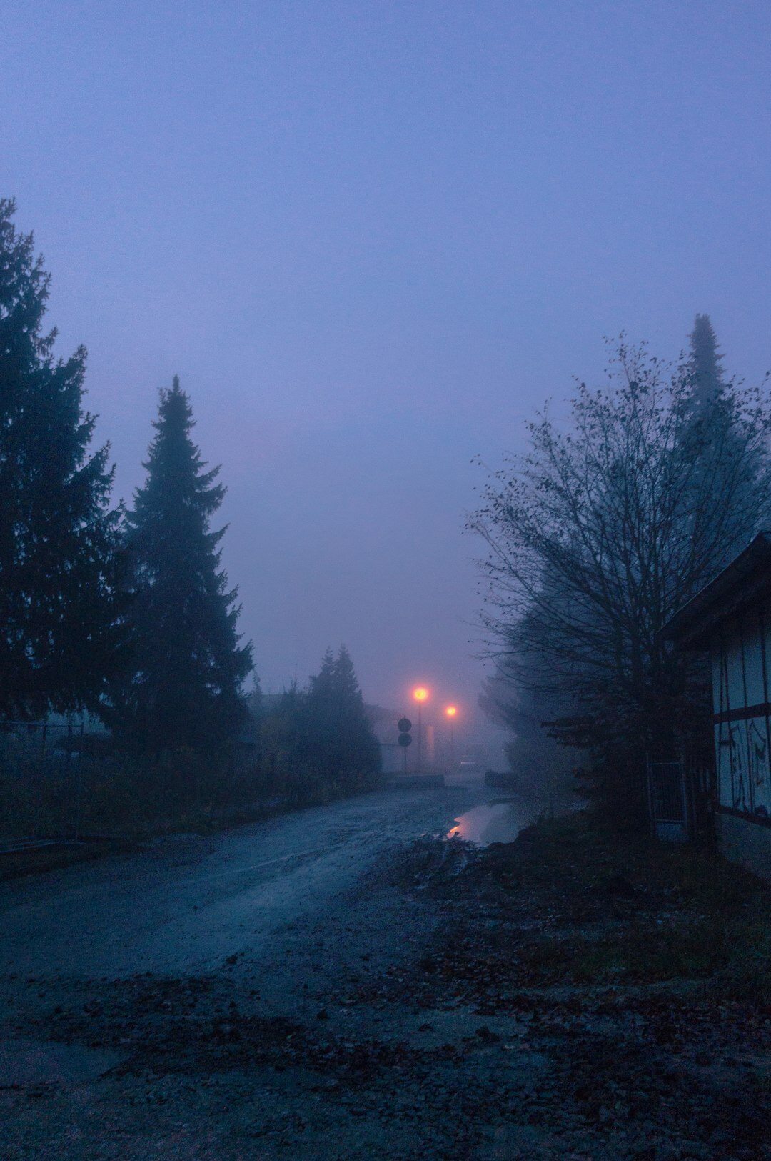 dark foggy street at night