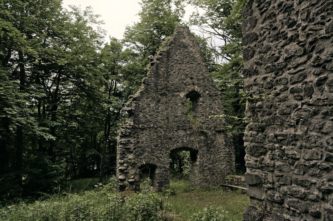 abandoned house in forest