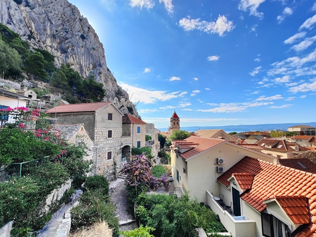 croatian landscape with books